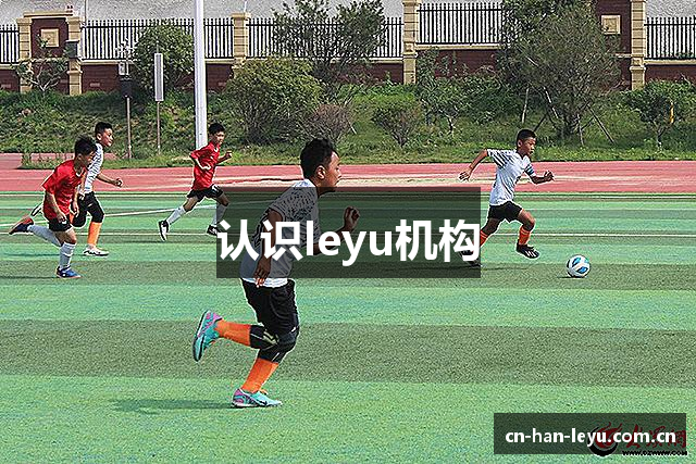 认识leyu机构